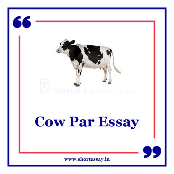 Cow Par Essay