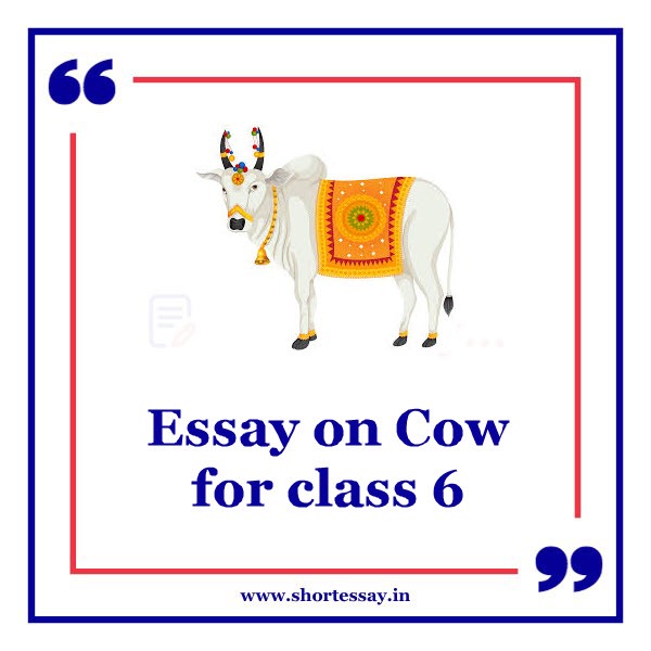 Essay on Cow for class 6