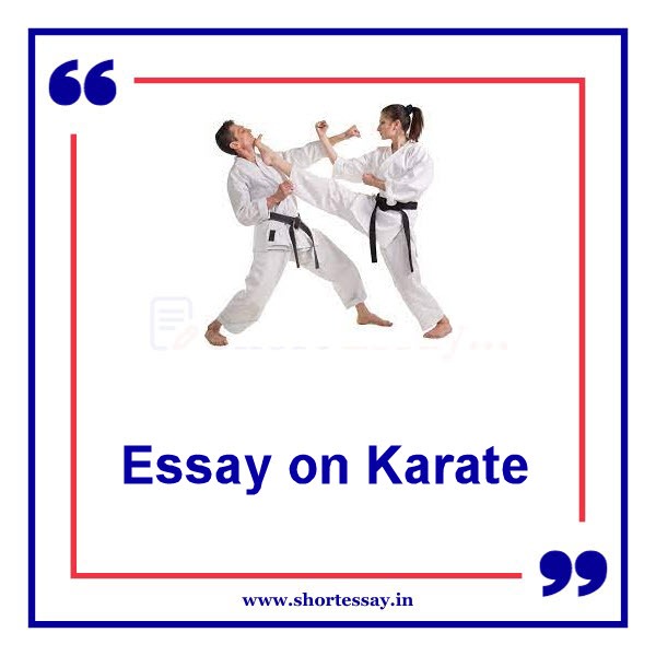 Essay on Karate