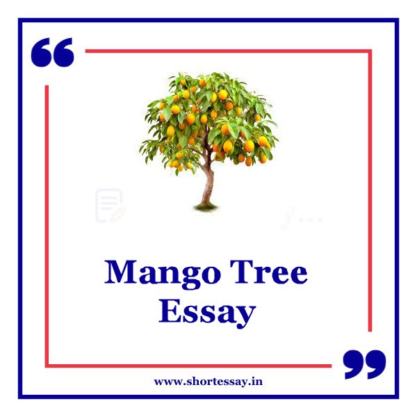 Mango Tree Essay